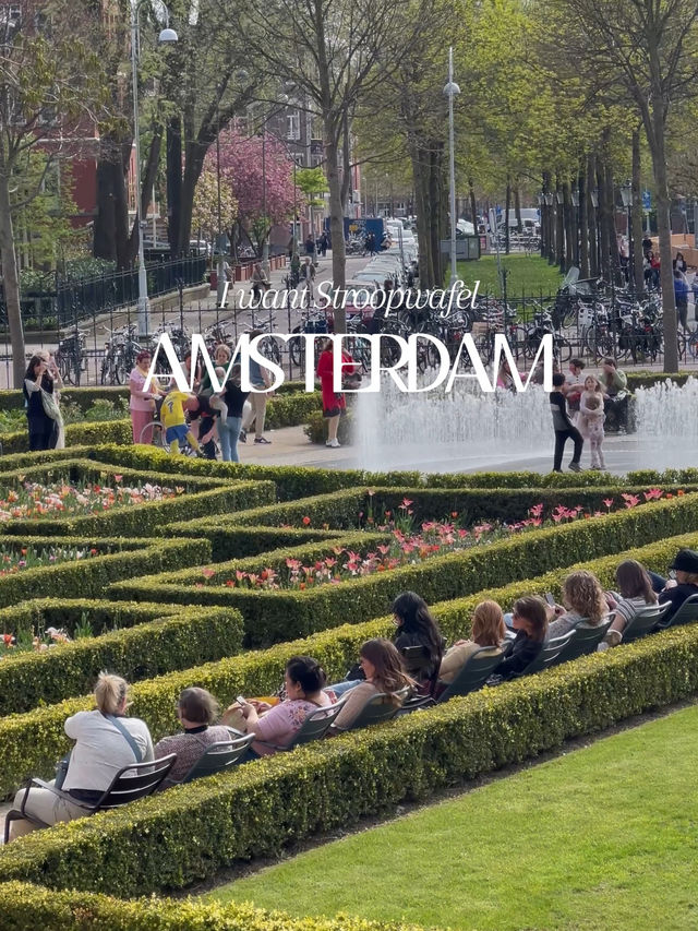 AmsterDAMN - Canals, Chaos & Cute Boys