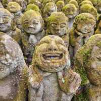 Kyoto and around!