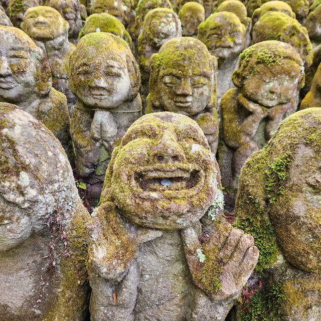 Kyoto and around!