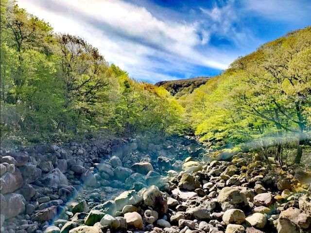 超美漢拏山國立公園