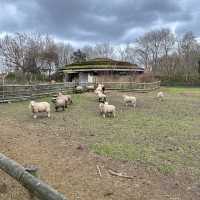 🇬🇧 A Vast Farm in the Heart of London