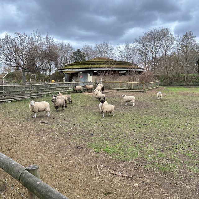 🇬🇧 A Vast Farm in the Heart of London