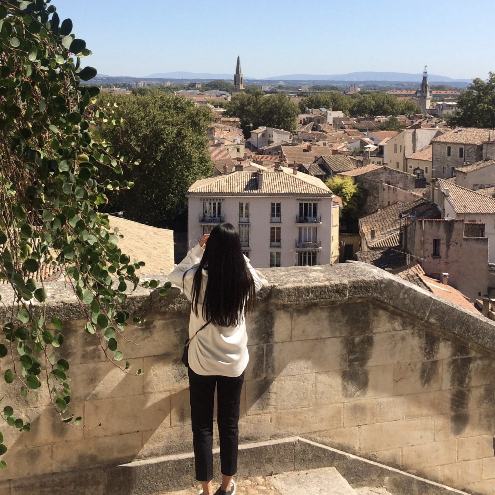 🇫🇷Travel to Avignon, a small French city