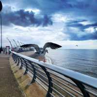 🎢英國的夏天渡假勝地🏖@Blackpool