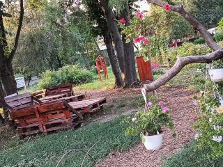 Botanical Garden Galati 🌴🌲