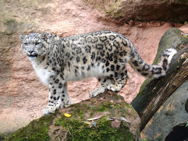 Plzeň Zoo 🦒🐘