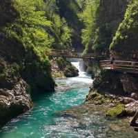 Vintgar Gorge is such a gem!