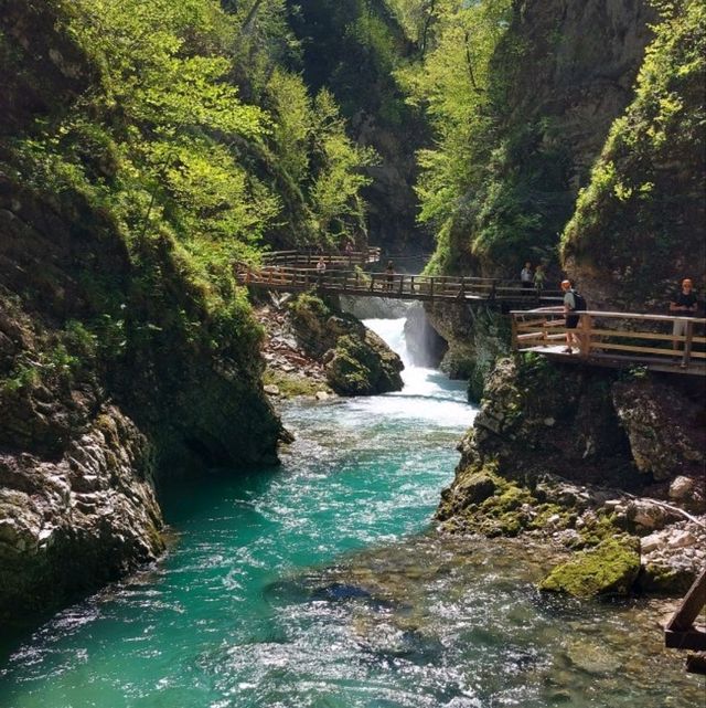 Vintgar Gorge is such a gem!