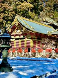 To the spot Nikko 🇯🇵 