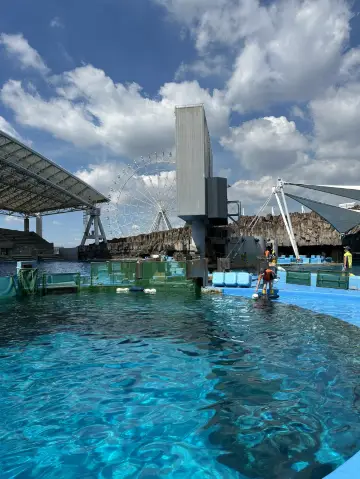 【日本世一水族館,適合大小朋友去!遊覽海洋生物日記!】
