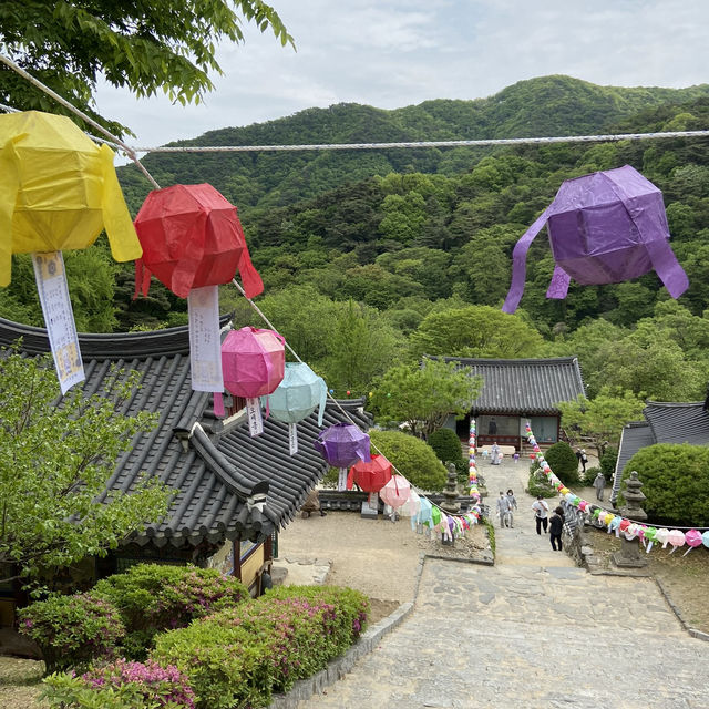 가을 여행, 안성 석남사🍂🇰🇷