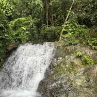 A perfect day in North Sumatra Bukit Lawang Jungle with Orangotans
