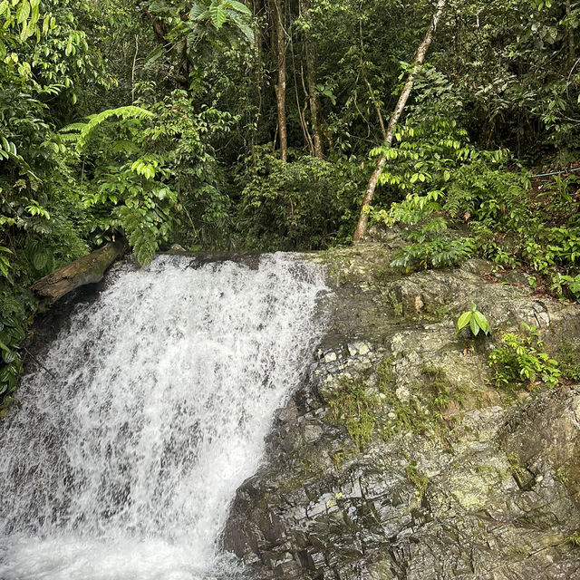 A perfect day in North Sumatra Bukit Lawang Jungle with Orangotans