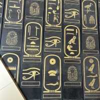 Ancient Wonders Unveiled: Giza Pyramids & the Grand Egyptian Museum