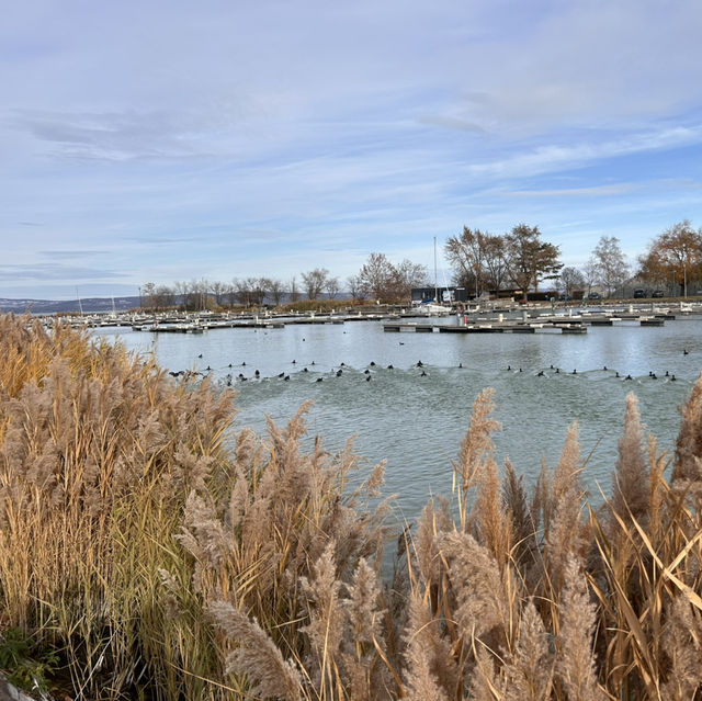 Hungary-Lake Balaton