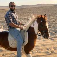 Faresba7r for Riding horses