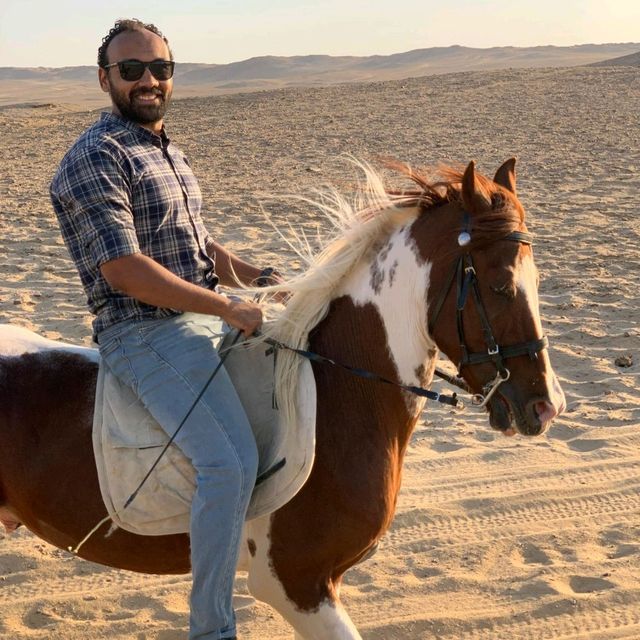 Faresba7r for Riding horses