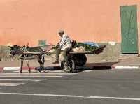 Morocco 