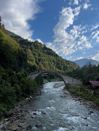 Rize 🌿