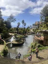 A garden paradise 