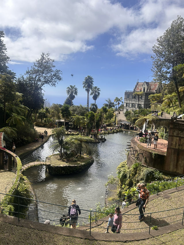 A garden paradise 