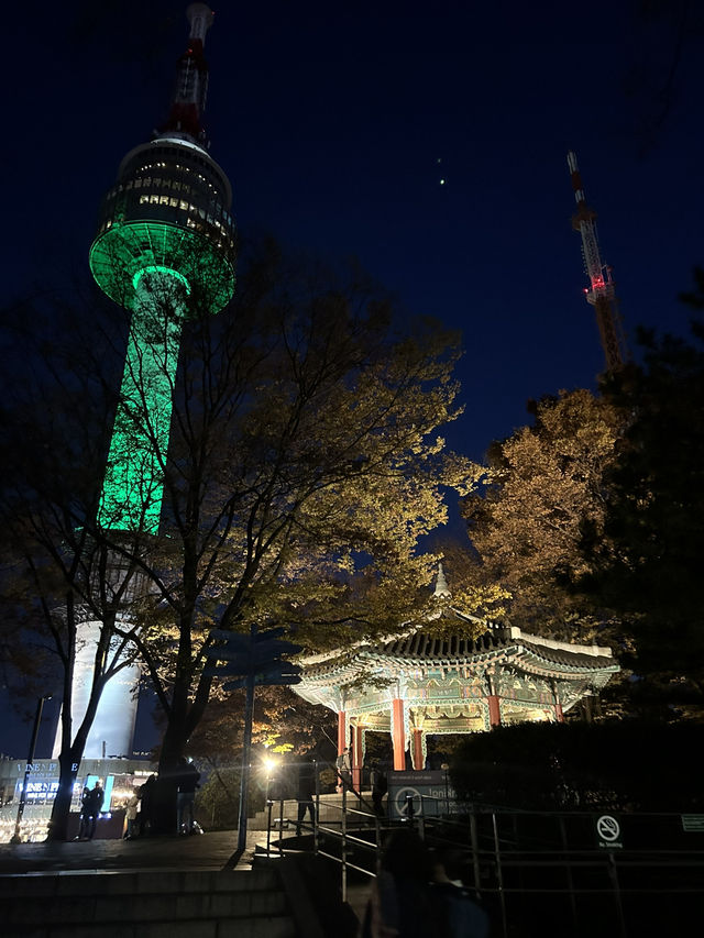 🌆🌿 Seoul from Above: N Seoul Tower & Namsan Park