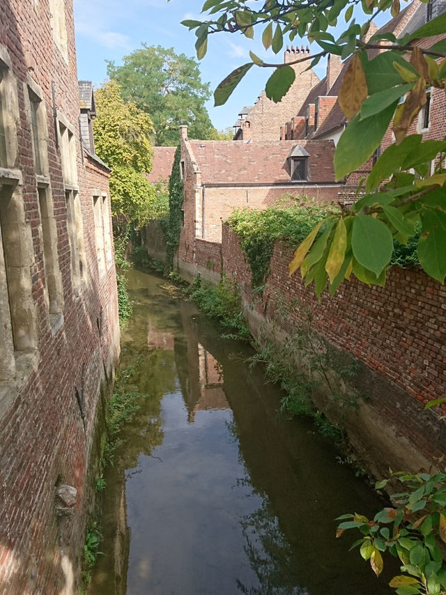 🏛️ Leuven: History, Culture, and Tranquil Escapes