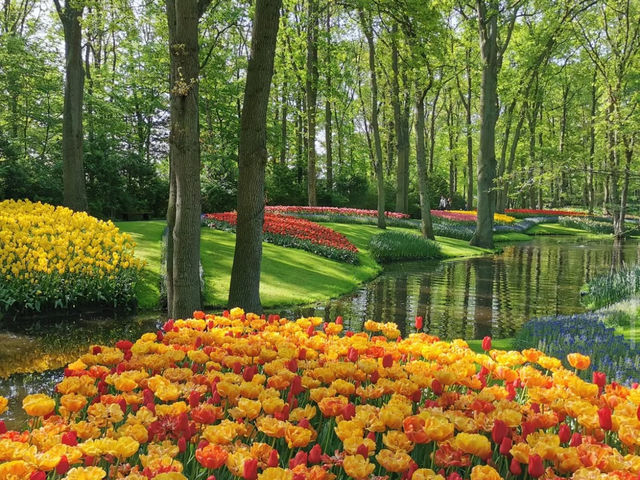 Tulip Season in the Netherlands: A Dreamy Escape to Keukenhof 🌷✨