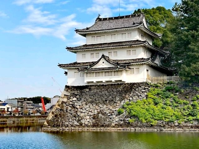 櫻花之地名古屋城