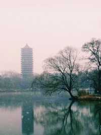 One-Day Itinerary at Peking University: A Walk Through History and Culture