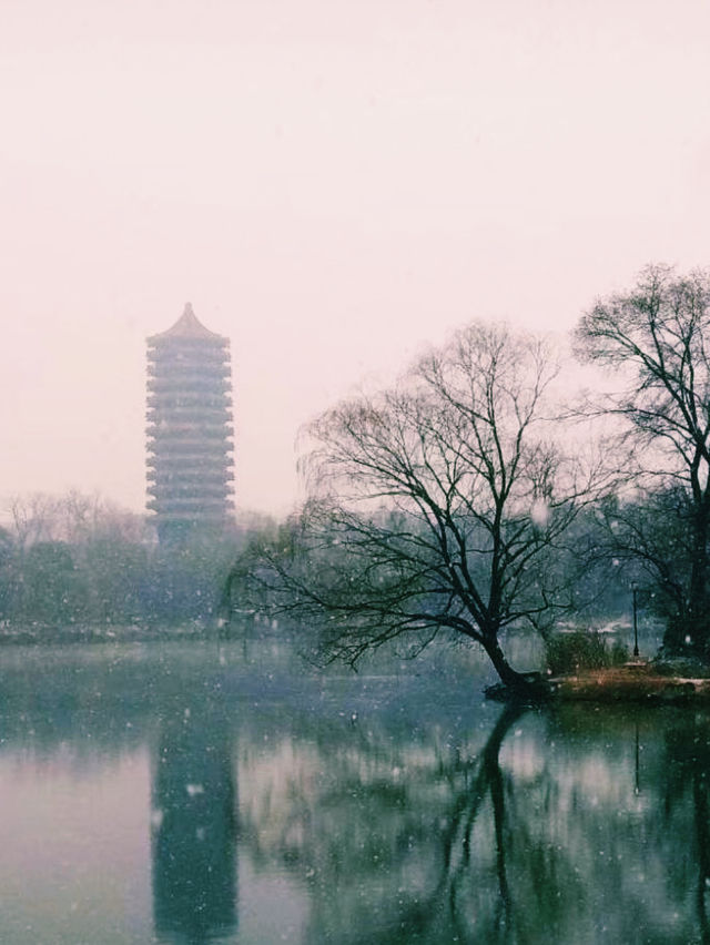One-Day Itinerary at Peking University: A Walk Through History and Culture