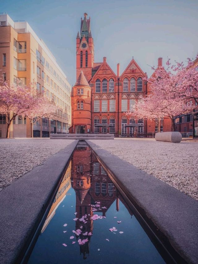 Top Spring Photo Shoot Locations in Birmingham 📸🌸