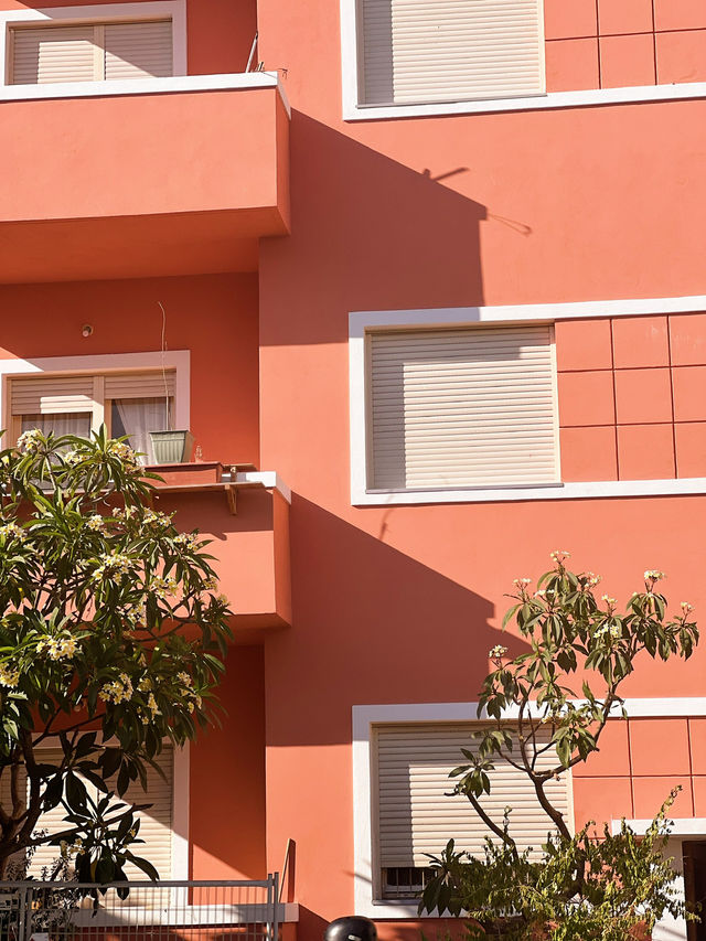 Tel Aviv: Hummus, Heatwaves & Hot People