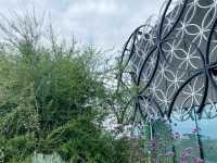 Birmingham in Bloom: From The Vale Lake to the Library Secret Garden