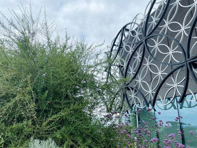 Birmingham in Bloom: From The Vale Lake to the Library Secret Garden