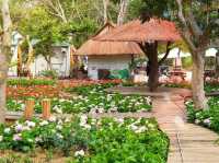 coco village 