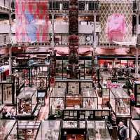 🎒🔍 Discover Oxford’s Free Pitt Rivers Museum! 🇬🇧✨