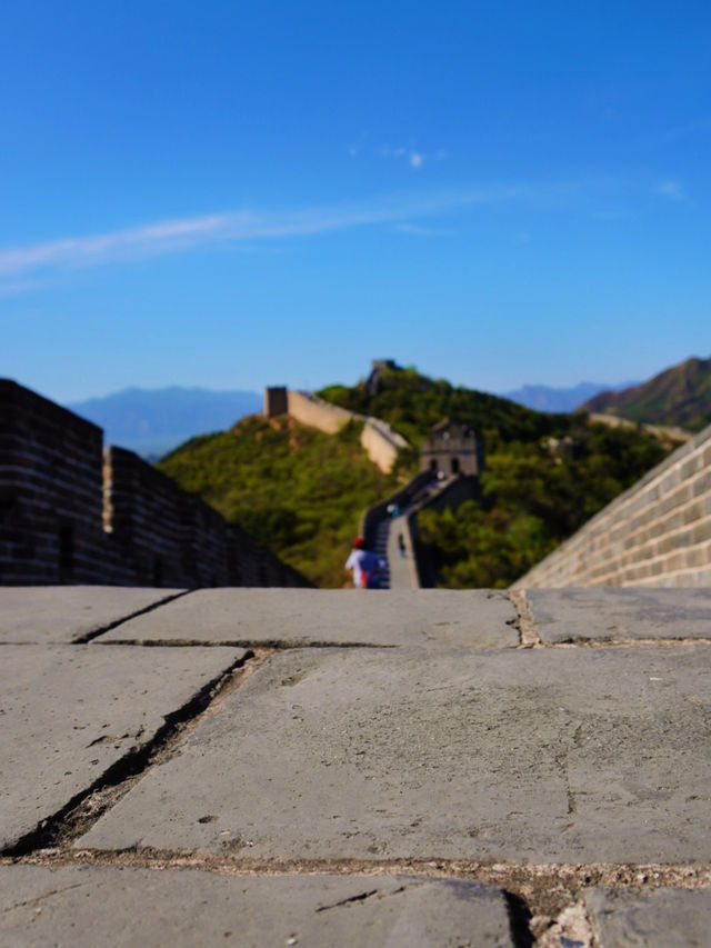 Greenery at the Great Wall