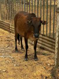 In Laos: Vang Vieng a must do 