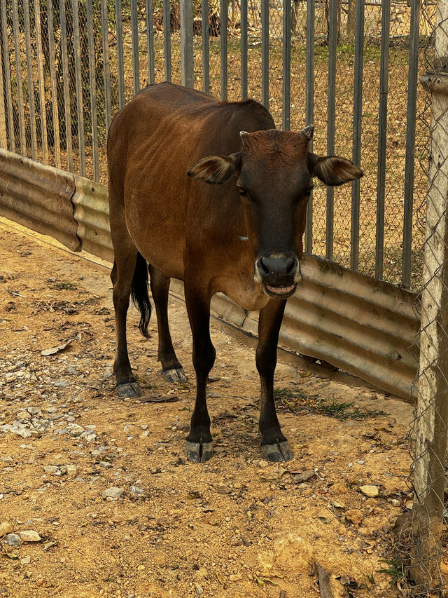 In Laos: Vang Vieng a must do 