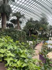 One day in Singapore without a rush