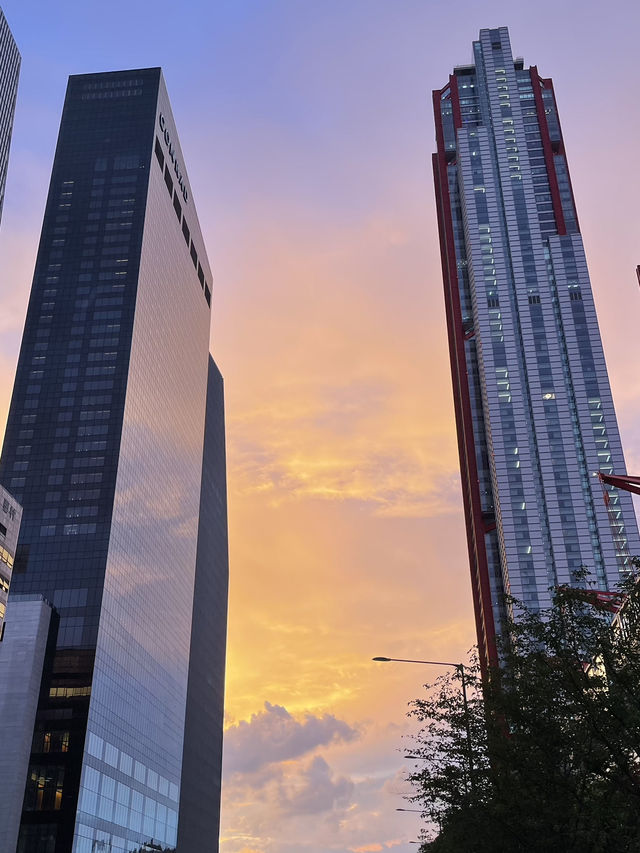 🧭 낯선 듯 익숙한 서울, 그 하루의 풍경 🏙️