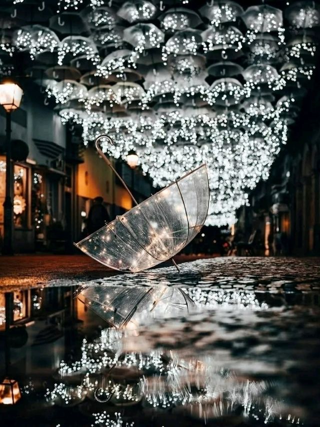 Aveiro, Portugal: The Venice of Portugal with a Coastal Soul