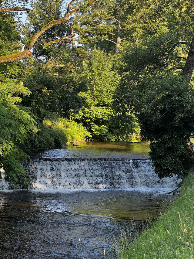 Summer serenity in Baden-Baden 🌹