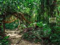 Giant Catfish Farm: A Peaceful Hidden Spot in Krabi