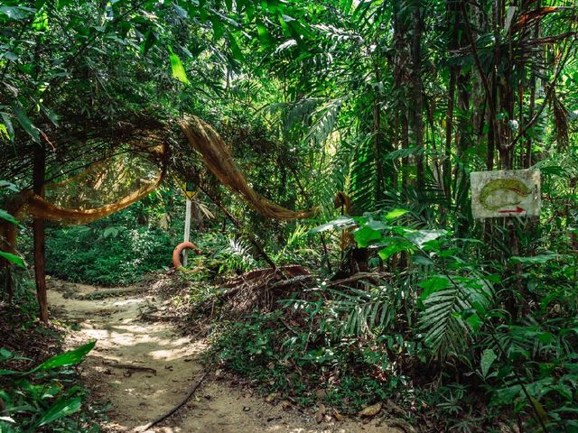 Giant Catfish Farm: A Peaceful Hidden Spot in Krabi