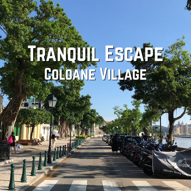 Macau🇲🇴Coloane Village: Macau's Charming & Tranquil Escape! 🌿
