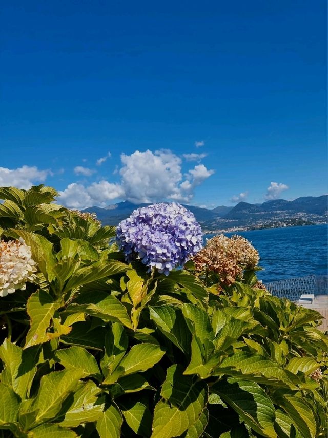 Isola Madre: The Secret Garden of Lake Maggiore