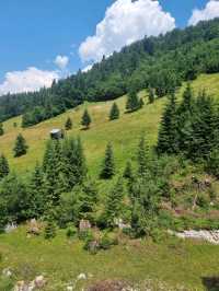 🏞️ Hiking to Horses' Waterfall (Cascada Cailor), Maramureș, Romania