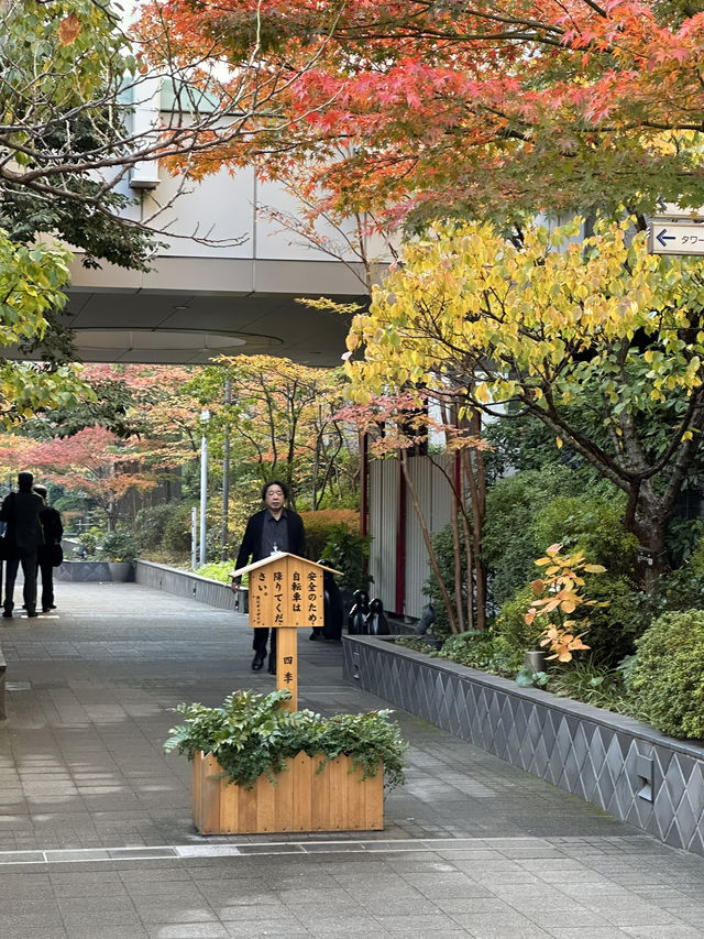 Exploring Tokyo & Kyoto means diving deep into centuries